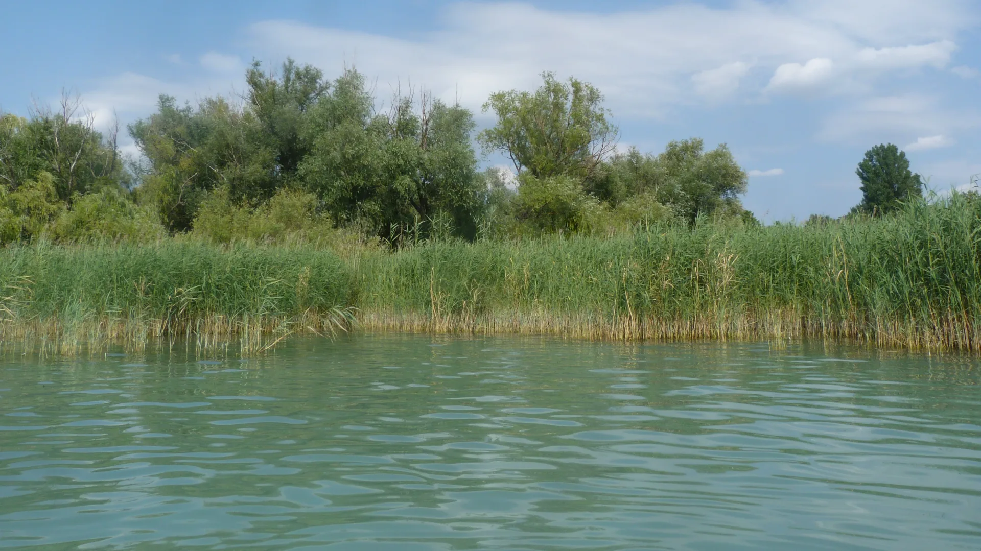 Kenesei Balaton-part